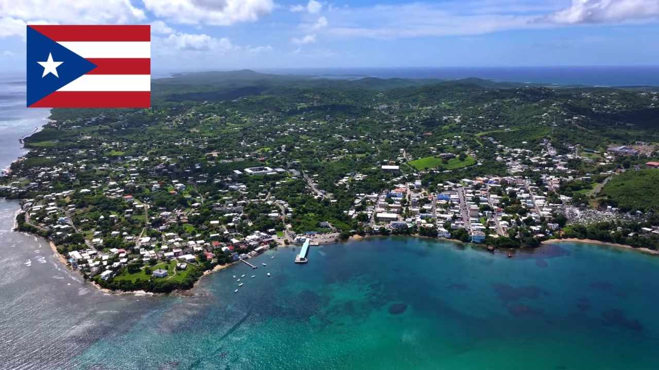 Aerial view of a green coastal city with dense neighborhoods and hills in the background